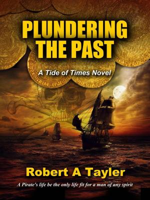 Cover of the book Plundering the Past by Natalie Rivers