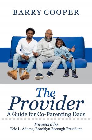 Book cover of The Provider