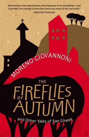 Cover of the book The Fireflies of Autumn by Clare Atkins