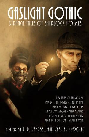 Cover of the book Gaslight Gothic by J. R. Campbell, Shannon Allen