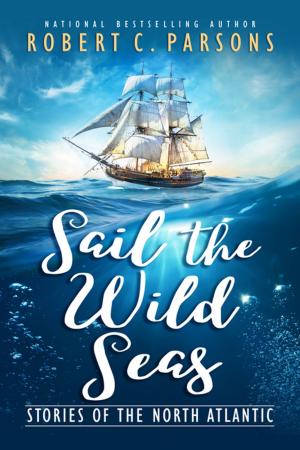 Cover of the book Sail the Wild Seas by Johanna Ryan Guy