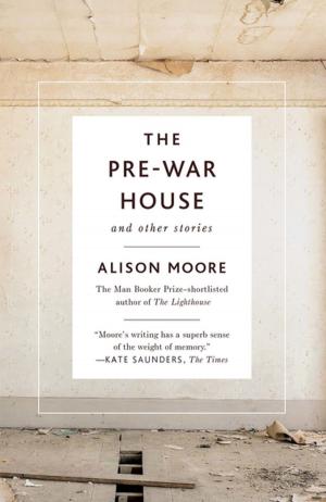 Cover of the book The Pre-War House and Other Stories by Anthony Camber