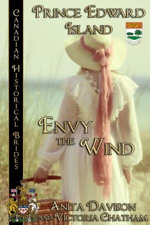 bigCover of the book Envy the Wind by 
