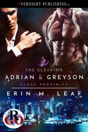 Cover of the book The Elevator by Georgia Fox