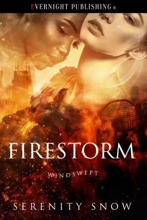 Cover of the book Firestorm by N. J. Young