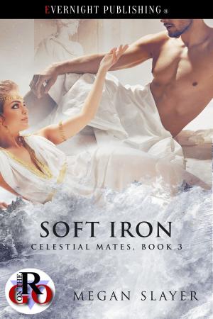 Cover of the book Soft Iron by Christina L. Schmidt