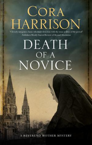 Cover of the book Death of a Novice by Timothy Hegarty