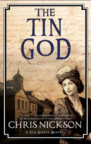 Cover of the book The Tin God by David Hewson