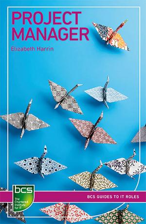 Cover of the book Project Manager by Elizabeth Harrin