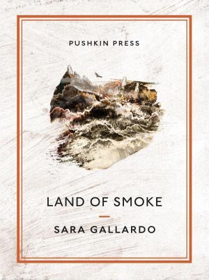 Cover of the book Land of Smoke by Pamela Brown