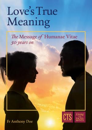 Cover of the book Love's True Meaning by Sr Mary David Totah, OSB