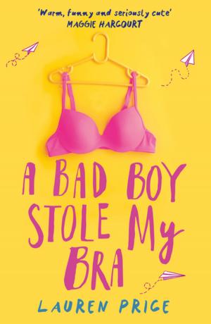 bigCover of the book A Bad Boy Stole My Bra by 