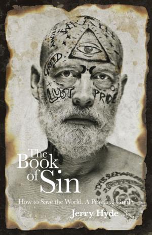 Cover of the book The Book of Sin by David Torkington