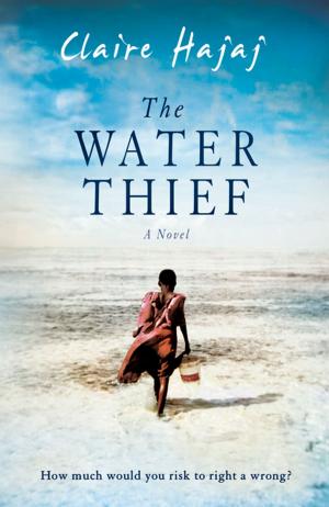 Cover of the book The Water Thief by Steve Burrows