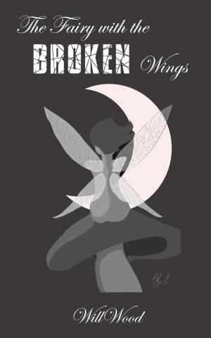 Cover of the book The Fairy With the Broken Wings by David Stewart-David