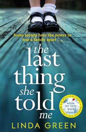 Cover of the book The Last Thing She Told Me by David Lewis, Darren Bridger