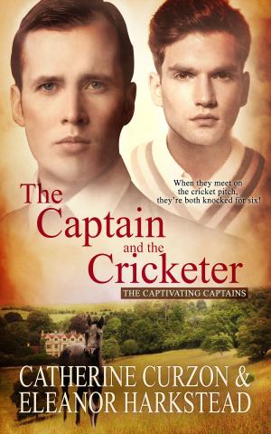 Cover of the book The Captain and the Cricketer by Matthew J. Metzger
