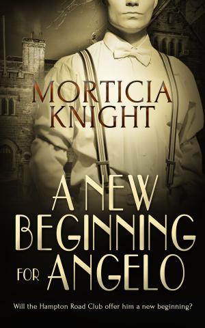 Cover of the book A New Beginning for Angelo by Cheyenne Meadows