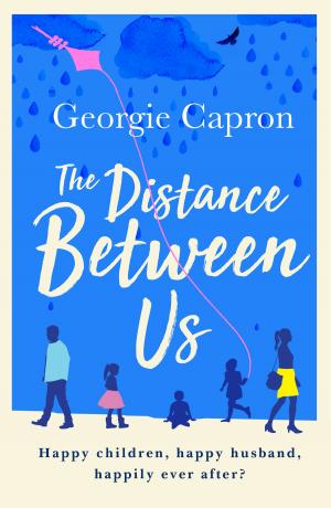 Cover of the book The Distance Between Us by Clare Carson