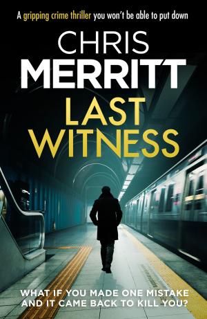 Cover of the book Last Witness by Valerie Keogh