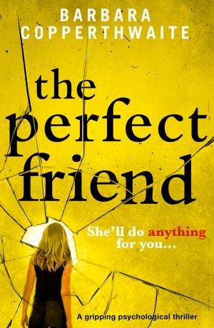 Cover of the book The Perfect Friend by Alison James