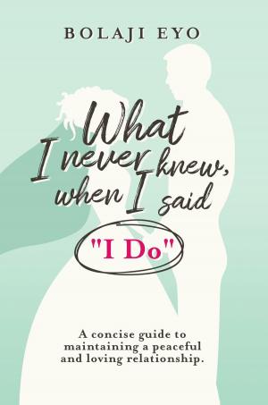 bigCover of the book What I Never Knew When I Said I Do by 