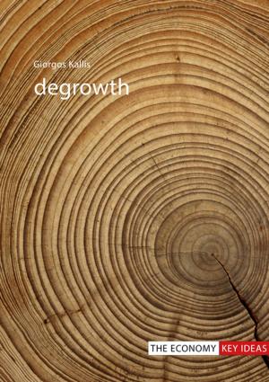 bigCover of the book Degrowth by 