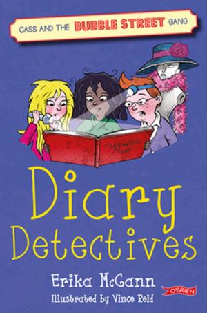 Cover of the book Diary Detectives by Oisín McGann