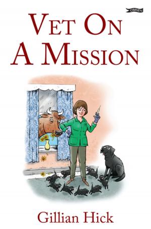 Cover of the book Vet On A Mission by Enrique Ruiz