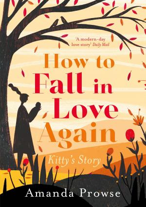 Cover of the book How to Fall in Love Again by Claudia Carroll