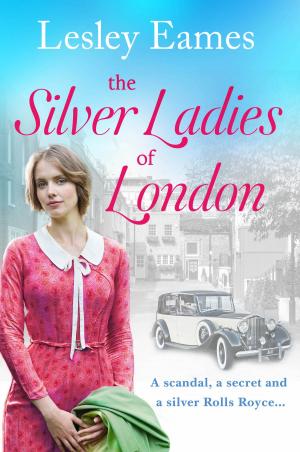 Cover of The Silver Ladies of London