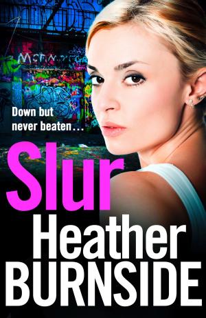 Cover of the book Slur by Minna Howard