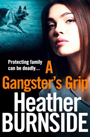 Cover of the book A Gangster's Grip by Colin Bateman