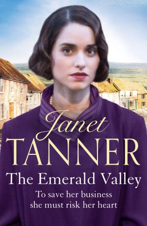Cover of the book The Emerald Valley by M J Lee