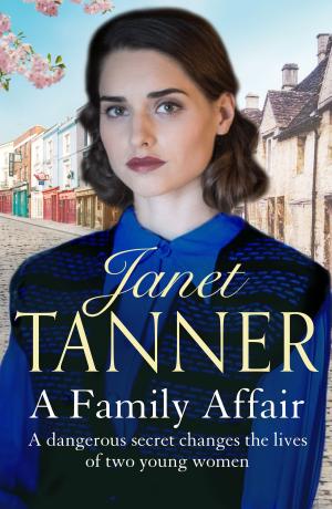 Cover of the book A Family Affair by Grace Thompson