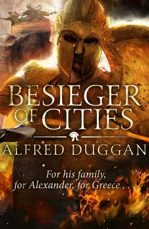 Cover of the book Besieger of Cities by Anna King