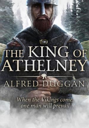 Book cover of The King of Athelney
