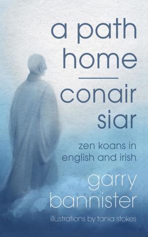 Cover of the book A Path Home | Conair Siar by Christine Dwyer Hickey