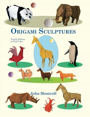 Book cover of Origami Sculptures