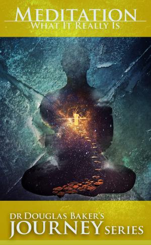 Cover of the book Meditation by Claudio de Castro