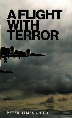 Book cover of A Flight with Terror
