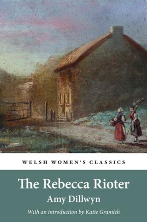 Cover of the book The Rebecca Rioter by Hilary Shepherd