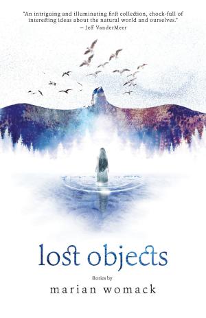 Cover of the book Lost Objects by Marie O'Regan