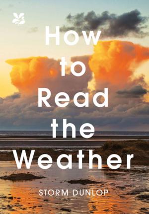Cover of the book How to Read the Weather by Patrick John Ireland