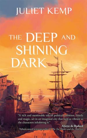 Cover of the book The Deep and Shining Dark by Mike French
