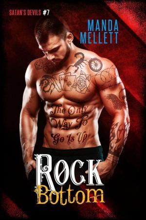 Cover of the book Rock Bottom by Lisa Rochon
