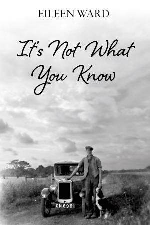 Cover of the book It's Not What You Know by James Franklyn Jackson