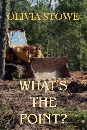 Cover of the book What´s the Point? by Abbie Zanders, Avelyn McCrae