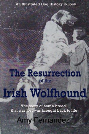 Cover of The Resurrection of the Irish Wolfhound