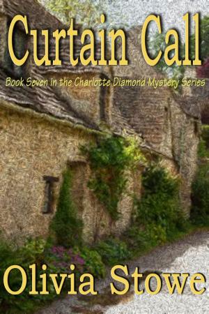 Cover of the book Curtain Call by Gina Drew